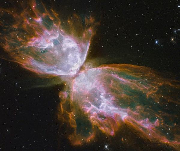 Butterfly Nebula Animated Stereo By Apolonis