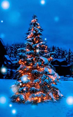 Christmas Tree Lights Decoration Snow Covered 4k Ultra HD Mobile