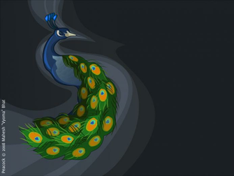 Peacock Wallpaper Home
