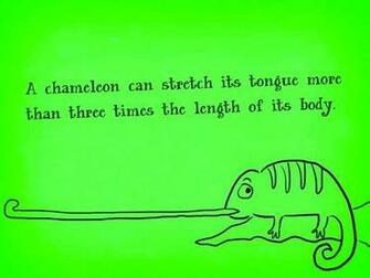 Funny And Weird Facts Background Wallpaper