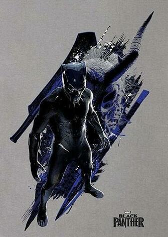 Black Panther Promo Arts T Challa His Dora Milaji And
