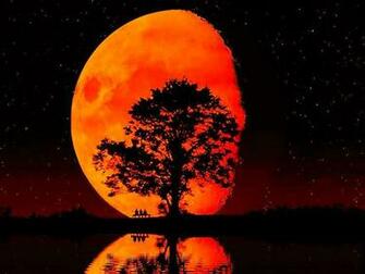 Blood Moon Wallpaper