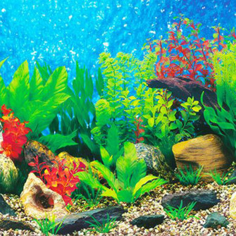 Aquarium Fish Tank Wallpaper