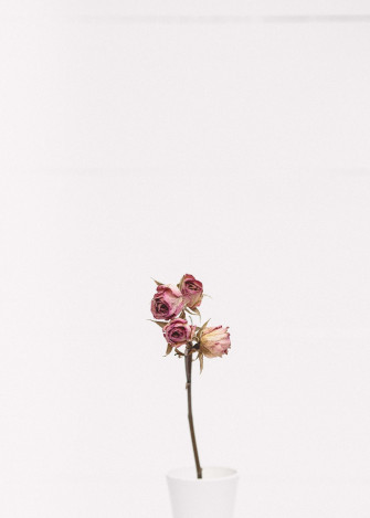 30k Minimal Flower Pictures Image