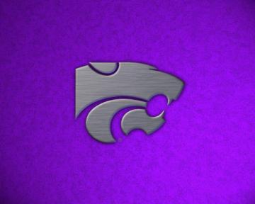 Powercat Background