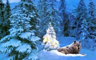Large HD Christmas Wallpaper