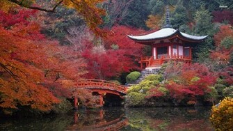 Mount Fuji Temple Tourism Wallpaper Travel HD