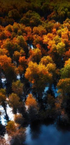 Huawei Mate Pro Plus Wallpaper Ytechb Exclusive Stock