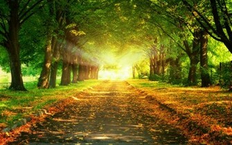 High Definition Wallpaper 1080p For Desktop