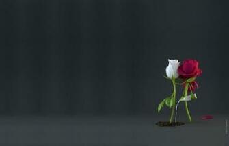 Wallpaper Love Tenderness Rose Feelings Minimalism Pair Care