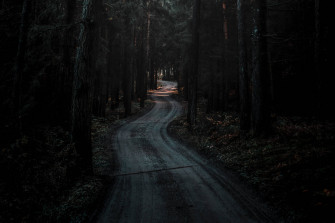 Dark Forest Wallpaper