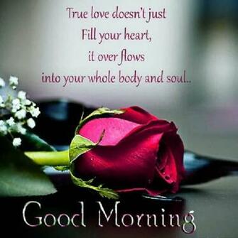 Good Morning Quotes Image Fresh Mornings Sayings Pictures