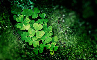 Happy St Wallpaper