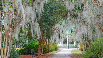 Hampton Park Re Cond Nast Traveler