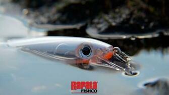 Rapala Wallpaper