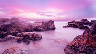 Scenic Wallpaper Id
