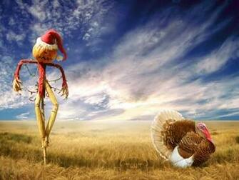 Autumn Halloween Field Scarecrow Pumpkin Turk Desktop Wallpaper