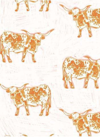 Madison Gorski On Collage Wall Western Aesthetic