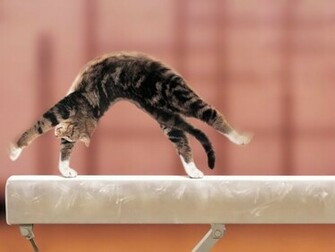 Everybody Loves Gymnastics Bluewater Club