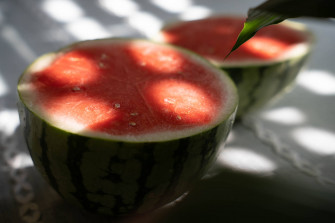 Watermelon iPhone Wallpaper