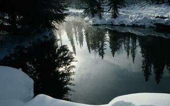Nature In Mirror Desktop Pc And Mac Wallpaper