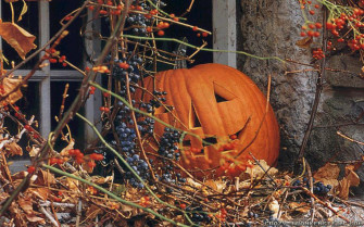 Fall Pumpkin Wallpaper For Desktop