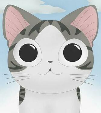 Best Image About Chi Une Vie De Chat