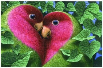 Wallpaper Info Love Is Good Birds