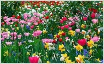High Resolution Spring Wallpaper Ahref Magazine