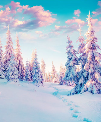 Winter Solstice Wallpaper