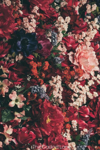 62a1b0ac0188f01d6efbc0926323cc7b Wallpaper