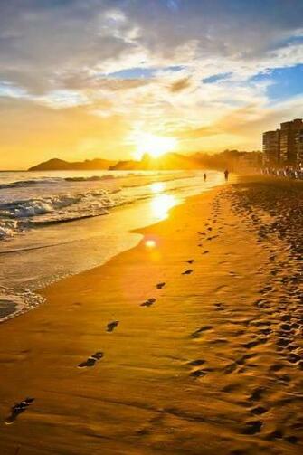 Topvertical HD Wallpaper For Android Photos Image And