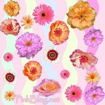 Betsey Johnson Roses Wallpaper Pink Background Of Cute