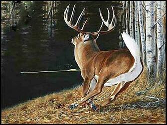 Bowhunting Wallpaper Stickflngr S Embedded Photo