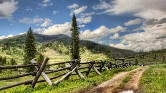 Yellowstone National Park HD Wallpaper For