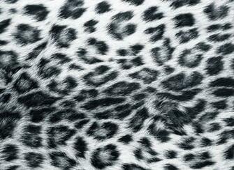 White Leopard Wallpaper