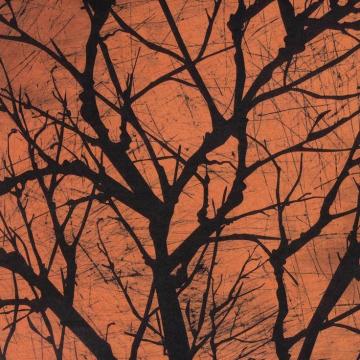 Halloween Creepy Tree Pretty Picture Background