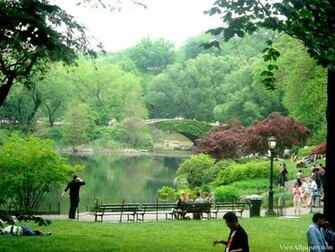 Park Summer Time High Resolution Wallpaper Central