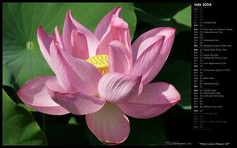 October Calendars November Flowers Plants Lotus Are