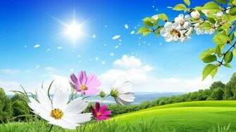 Flowers For Flower Lovers Wallpaper Natural Sceneries