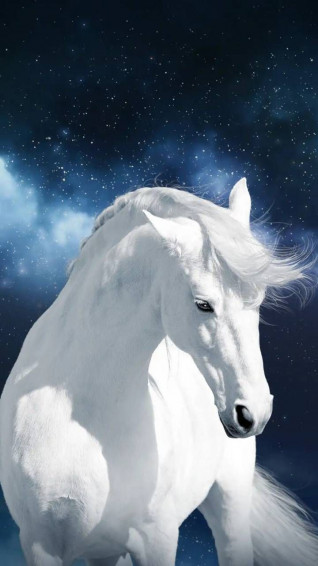 White Horses Wallpaper