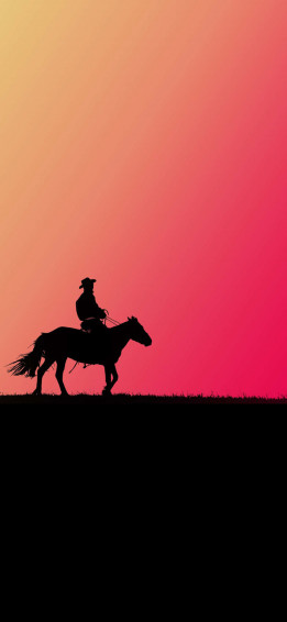 Western Cowboy iPhone Wallpaper