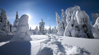 Winter Wallpaper For Pc Grasscloth