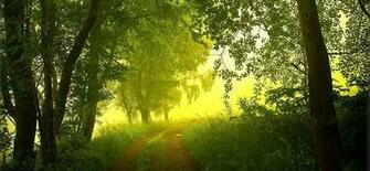 Desktop Fun Spring Wallpaper Collection