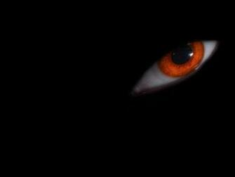 Eye HD Wallpaper Background Image