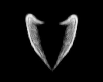 Angels Wings Angel HD Wallpaper Color Palette Tags