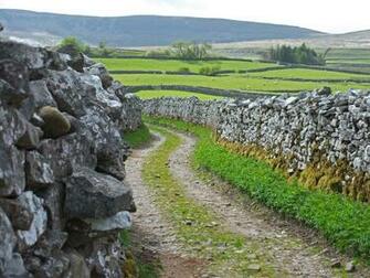 Kane Picz Fieldstone Wallpaper