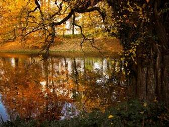 Lakeside High Quality And Resolution Wallpaper On