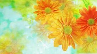 Colorful Flowers Wallpaper