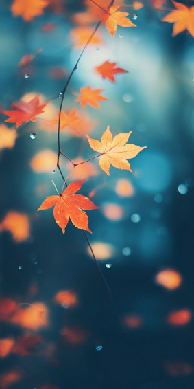Gorgeous Fall Phone Wallpaper